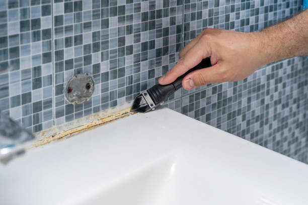 Best DIY Mold Remediation Support Services in Sparks, GA