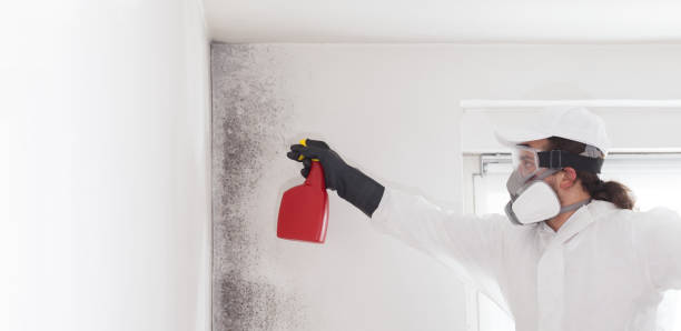 Best Bathroom Mold Remediation in Sparks, GA